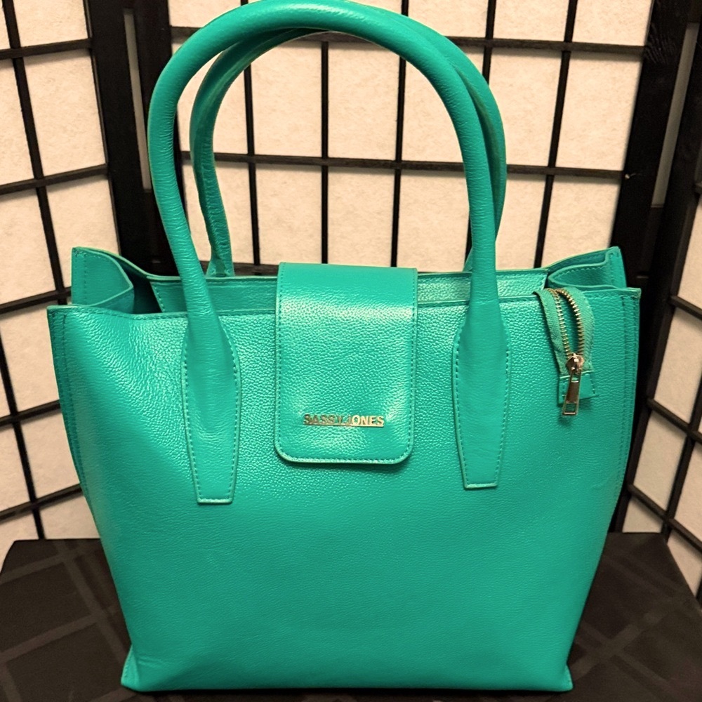 Sassy Jones HSN Reia Bag